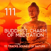 Meditation Music: Thought - Meditation Music Zone