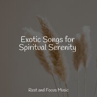 Exotic Songs for Spiritual Serenity