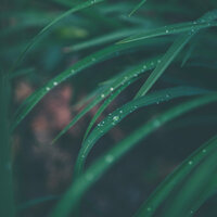 Acurrucarse Y Calmarse - Sonidos De Lluvia y Tormentas & Relajación Meditar Academie & Meditação Zen