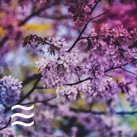 सुकून भरी नींद अभी भी सुनाई देती है