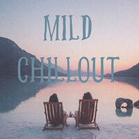 Night Chill Background - Vinyl Sounds