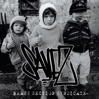 Nocturnal - Savez