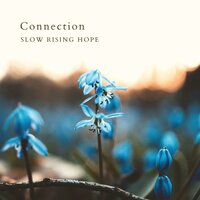 Connection