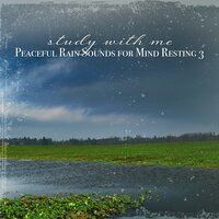 Peaceful Rain Sounds for Mind Resting, Pt. 2 - Sebastian Riegl