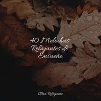 40 Melodías Relajantes de Ensueño