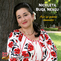 Așa își petrec cumnații - Nicoleta Buga Neagu