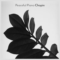 Peaceful Piano - Chopin