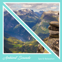 Binaural Delta Waves - 俊倩
