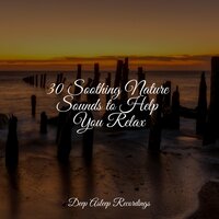 30 Soothing Nature Sounds to Help You Relax