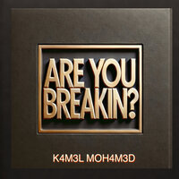 Are You Breakin ? - k4M3L MOH4M3D