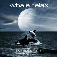 Gentle Whale Sounds - Ambient Whale
