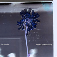 Dandelion - Daughter
