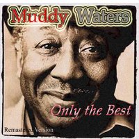 Look What You've Done - Muddy Waters