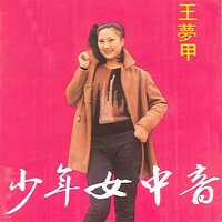 野鸽子 - 王梦甲