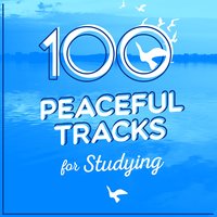 100 Peaceful Tracks for Studying