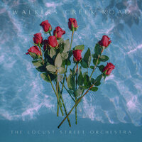 Walkers Creek Road - The Locust Street Orchestra