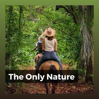 The Only Nature