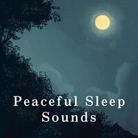 Under the Canopy of Sleep - Relaxing Bgm Project