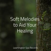Soft Melodies to Aid Your Healing