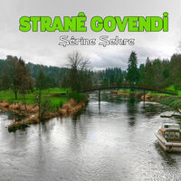 Xelate We - Strane Govendi