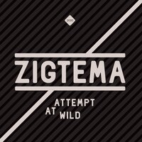 House on Wheels - Zigtema