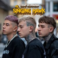 Gata mereu de lupta, aduc tornade de ambii - Singing Hawk