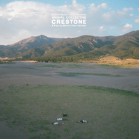 Eye in the Sky - Animal Collective