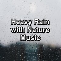 Rain For Yoga and Meditiation To Repeat for 24 Hours - Nature Sounds & 125 Nature Sounds & Relaxing Sounds of Nature