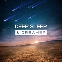 Namaste Yoga - Dreamland Universe