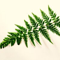 Ambience for Sleeping - Relaxed Minds & Pink Noise & Baby Sleep