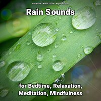 Rain Sounds for Relaxation and Mindfulness Pt. 66 - Nature Sounds & Rain Sounds & Regengeräusche