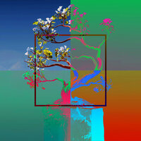 Digital Nature - Leftopia