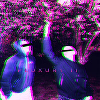 PLUXURY II