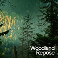 Woodland Repose