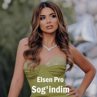 Sog'indim - Elsen Pro