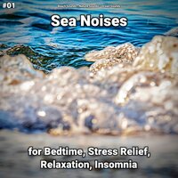 Sea Noises Pt. 37 - Beach Sounds & Nature Sounds & Ocean Sounds