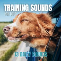 Doorbell Sound for Dogs 2 - We Make Sounds