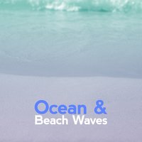 Ocean & Beach Waves