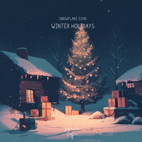 Frosty Mornings - snowflake echo & soave lofi