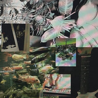Meaningless - liimaa