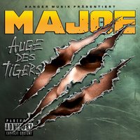 Auge des Tigers