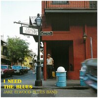 Don't Fool Me - Jake Elwood Blues Band & Jake Elwood