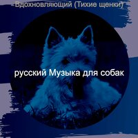 Мечты (Щенки) - русский Музыка для собак