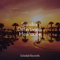 Sonidos Definitivos | Meditación