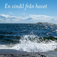 Novembermorgon blå - Bengt Enqvist & Lars Lundell