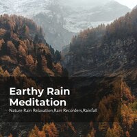 Magical Forest Rain - Rain Recorders & Rainfall & Nature Rain Relaxation