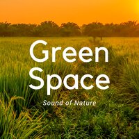 Green Space – Sound of Nature, Inner Peace and Harmony, Tranquility Zen Music, Calm your Mind