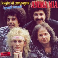 Conchiglia Bianca - I Cugini Di Campagna