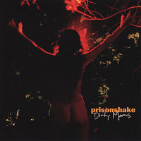 In Disguise - Prisonshake