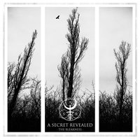 Drowning - A Secret Revealed